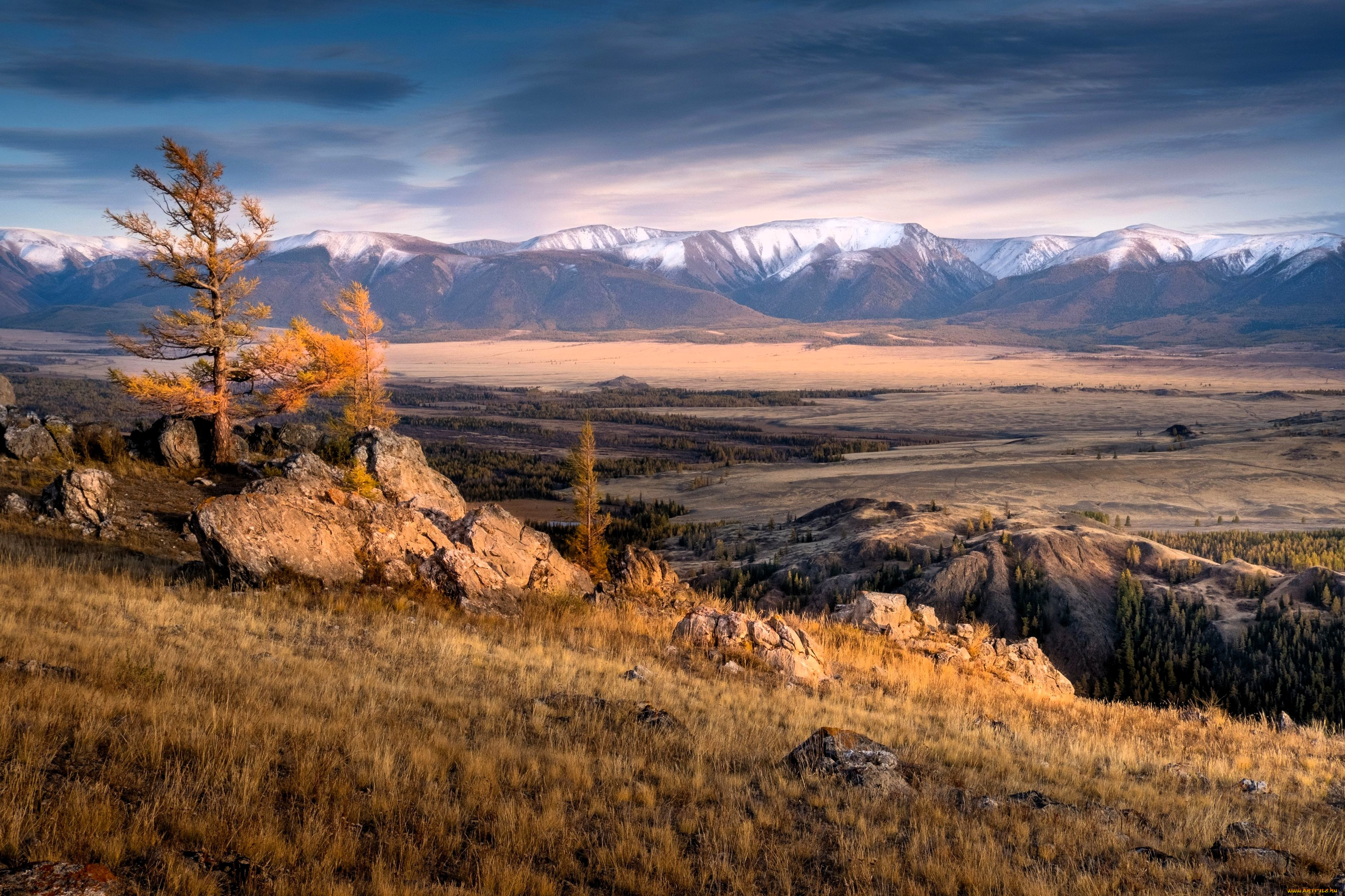 �������, ����, ������, ������, �����, �����